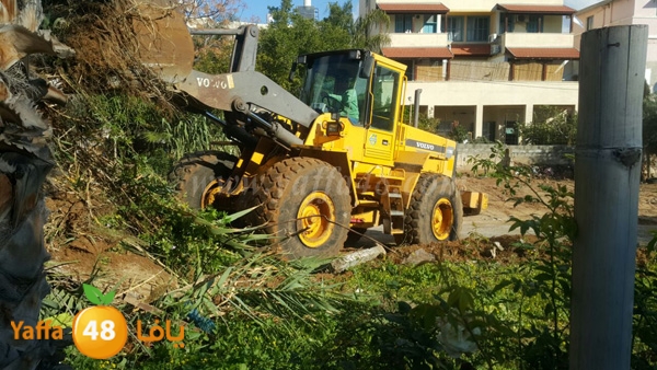 jarrafat hadm sa77a (3).JPG